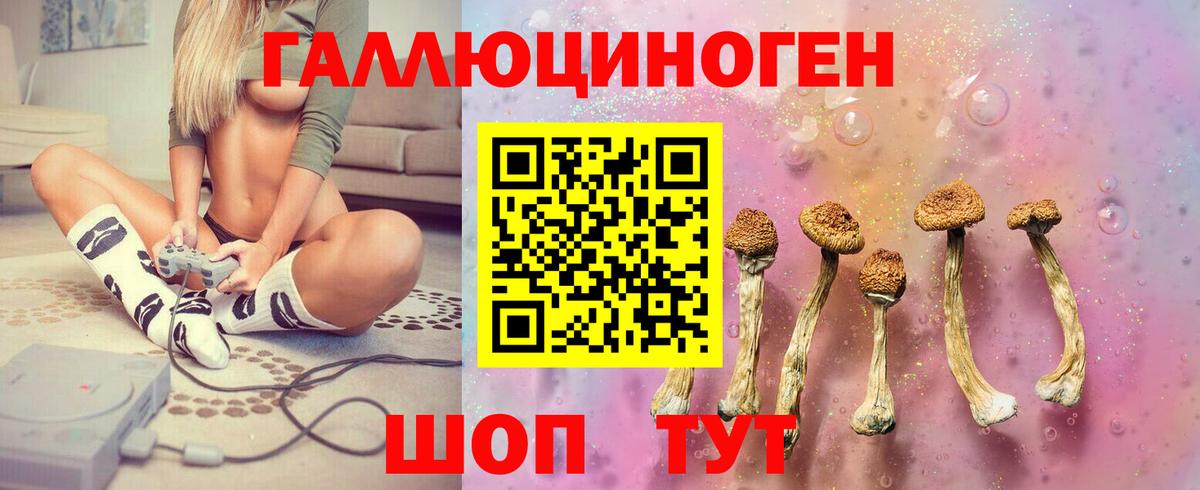 Галлюциногенные грибы Psilocybine cubensis Киселёвск
