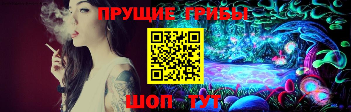 Киселёвск  Псилоцибиновые грибы мицелий  где найти   Вход с VPN 